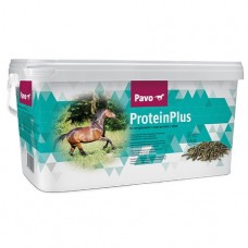 Pavo Proteïnplus